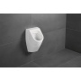 Villeroy & Boch O.novo Писсуар, без крышки, DirectFlush, Скрытый подвод воды, 335 x 320 mm, Альпийский белый, 75240001