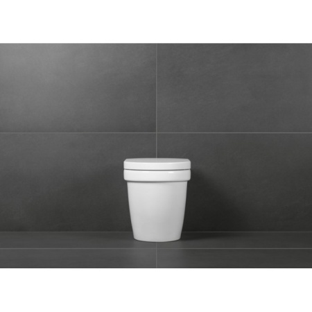 Сиденье для унитаза Villeroy & Boch Architectura с крышкой SoftClosing QuickRelease 98M9C101